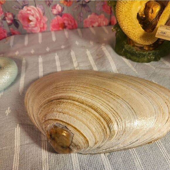 DECOUPAGE CLAM SHELL SUNFLOWER TRINKET DISH - Picture 8 of 8